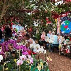 Parkesdale Market Plant Nursery