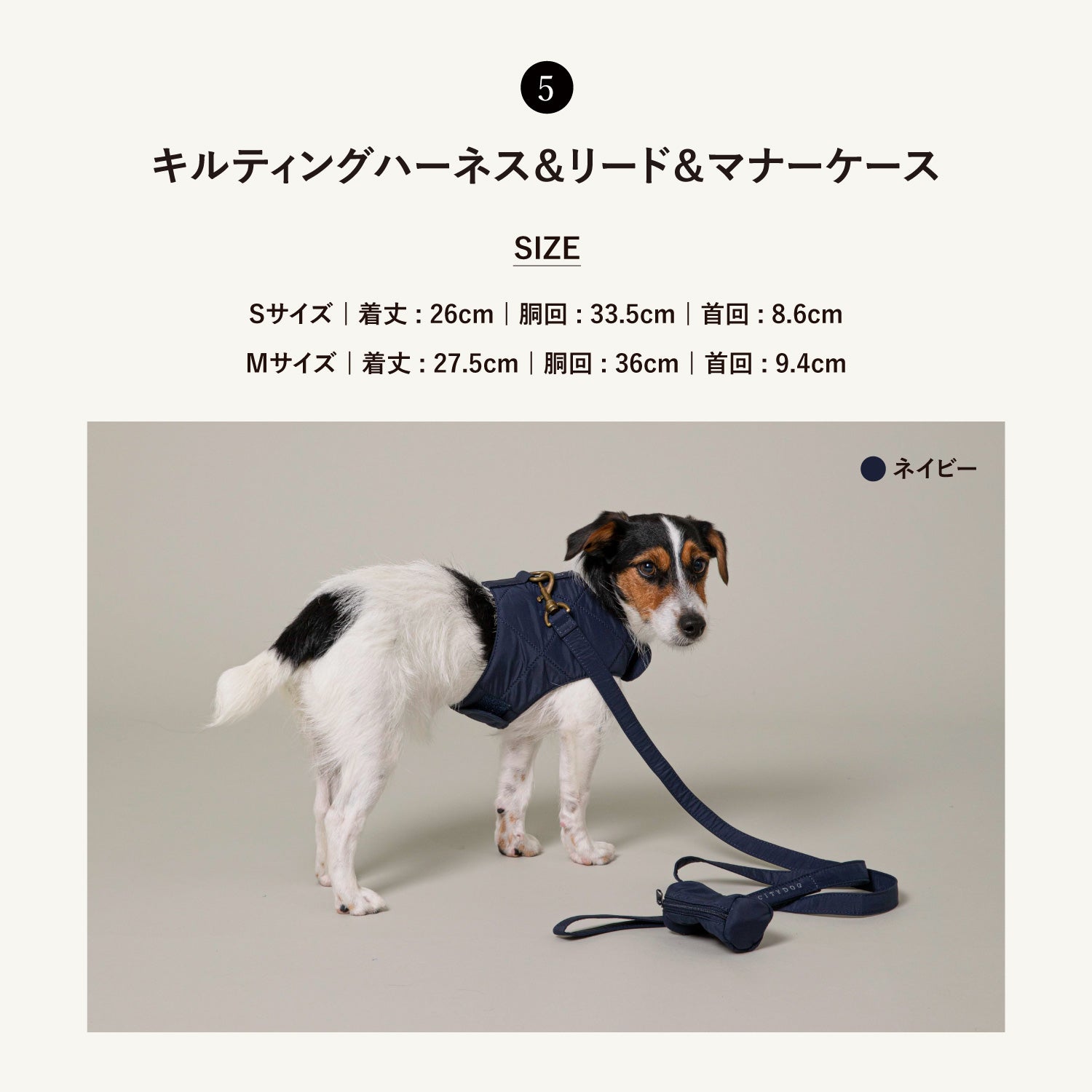 限定モデル CITYDOG パイピングコレクション首輪リードマナーケース