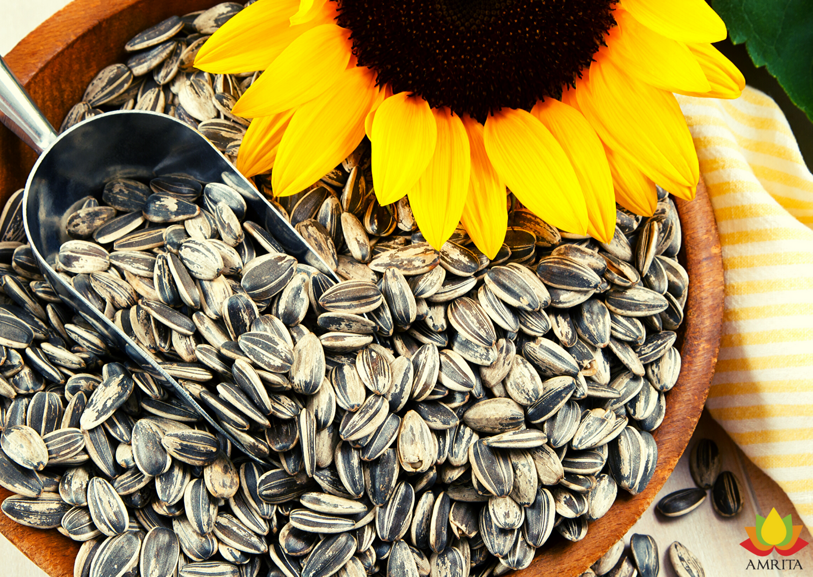 Sunflower Seeds: The Superfood You Might Be Missing Out On ...