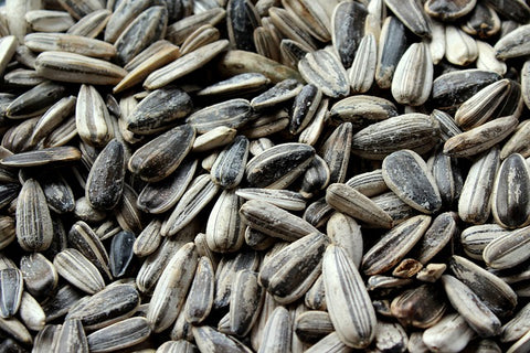 sunflower seeds