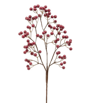 Burgundy Berry Pick - Copper Creek Garden Center