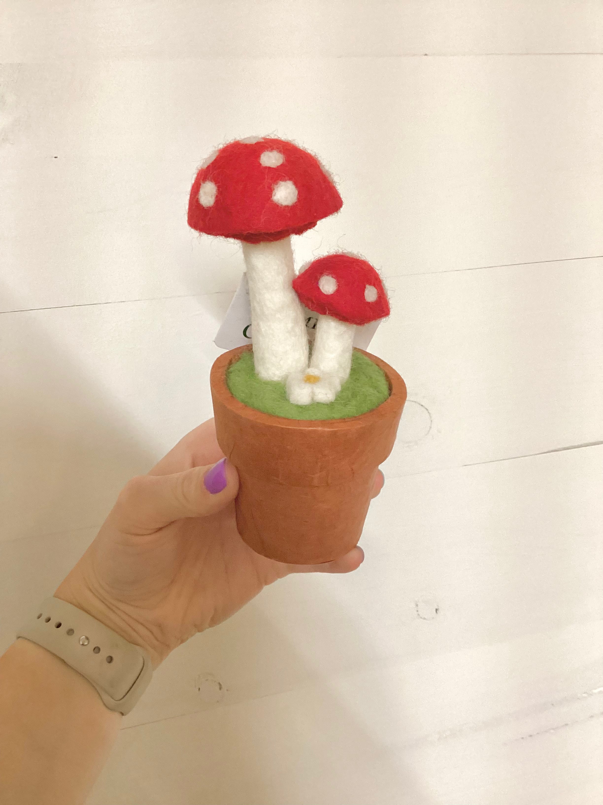 Felted Red Twin Fairy Mushroom