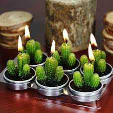 cactus candles