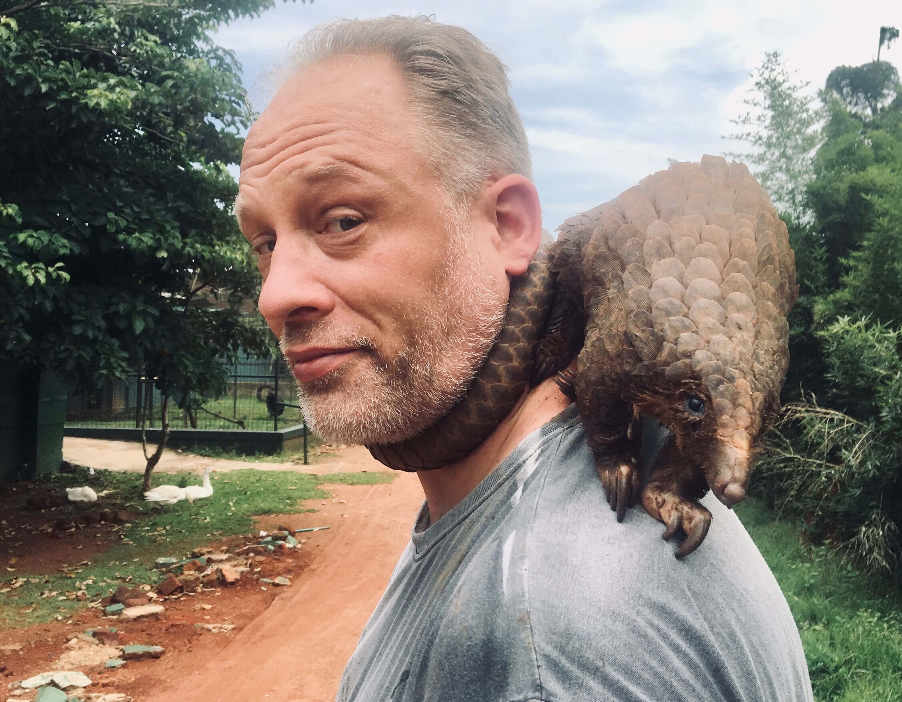 Matthijs Kuijpers with a Tree Pangolin