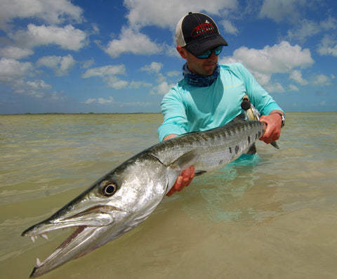 Fly Fishing for Barracuda in Ascension Bay