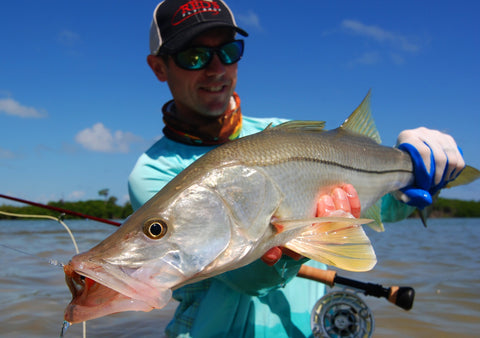 Snook Fishing in Ascension Bay