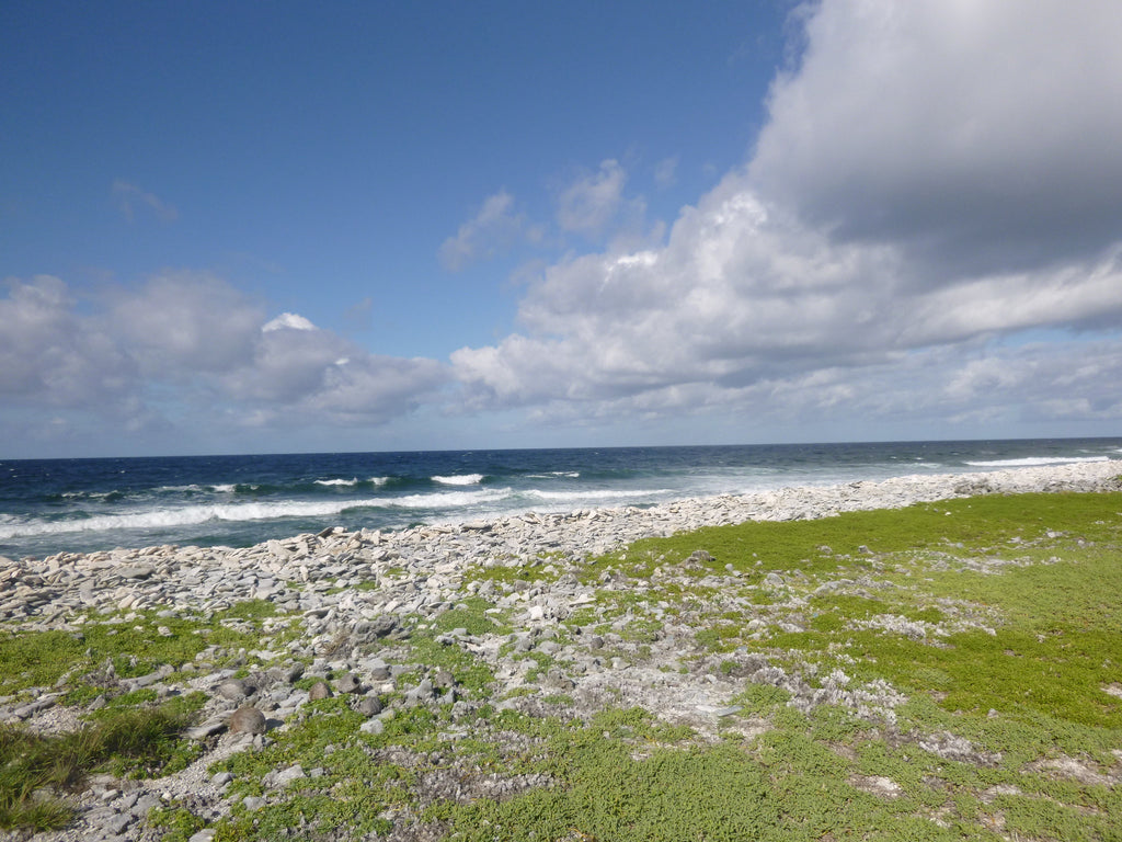 Fishing the Coast on Christmas Island