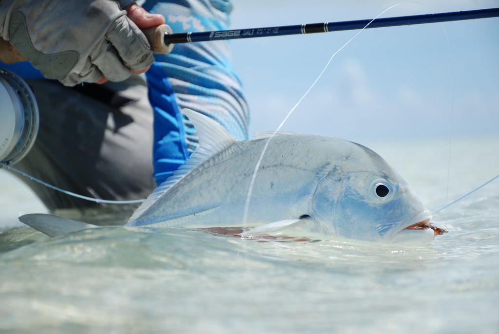 Fly Rods for Christmas Island