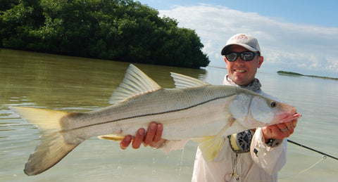 Snook Fly Fishing Tips