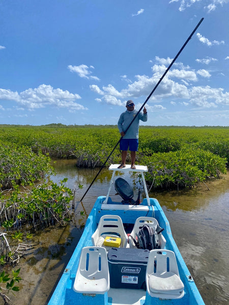 guide in ascension bay