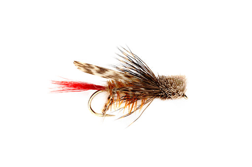 Lu'au Frog Popper by Rainy's // Hula Popper — Red's Fly Shop