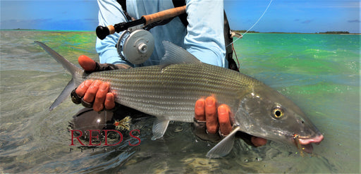 Bonefish Bug by Solitude // Top Selling Bonefish Fly — Red's Fly Shop