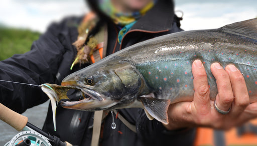 The 12 Best Dry Flies for Trout — Red's Fly Shop