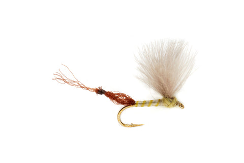 PMD - PALE MORNING DUN — Red's Fly Shop