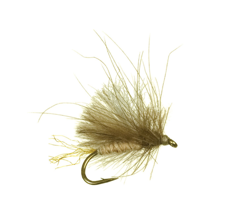 Late evening trout fishing with Corn-Fed Caddis CDC — Red's Fly Shop