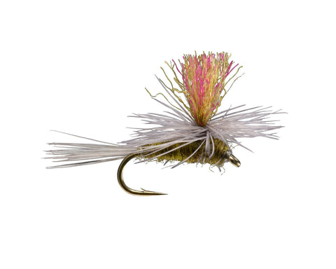 MAYFLY DRY FLIES — Red's Fly Shop