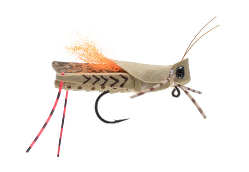 Dropper Hopper Foam Body Grasshopper Trout Flies Assortment - 12 Dry Flies  4 Patterns - Dry Flies for Stream Fly Fishing : : Sports, Fitness  & Outdoors