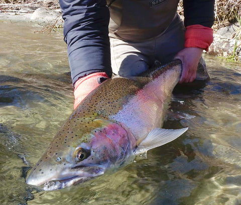 Trout Beads: 6mm  Pacific Fly Fishers