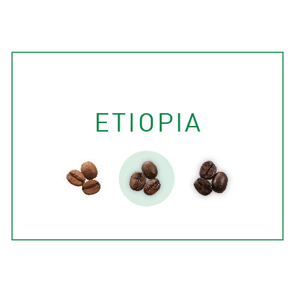 tueste medio café grano etiopia