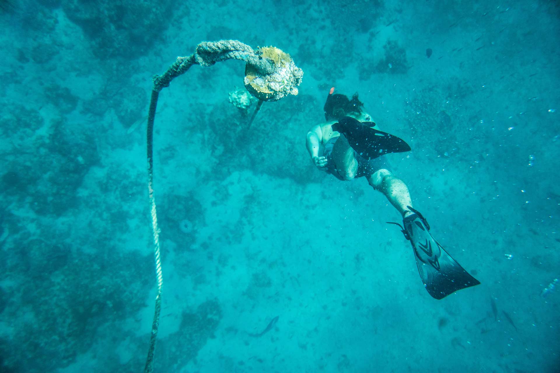 snorkeling