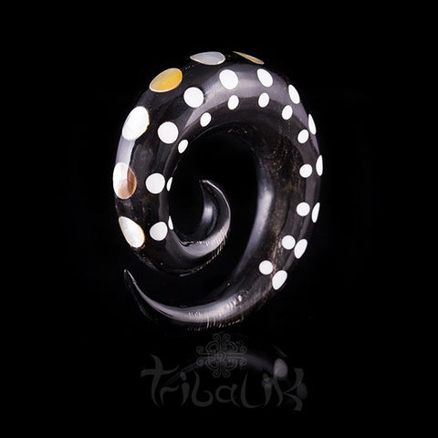 Tribalik Horn & Mother of Pearl Shell Ear Stretcher