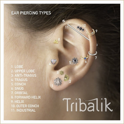 Ear piercing chart