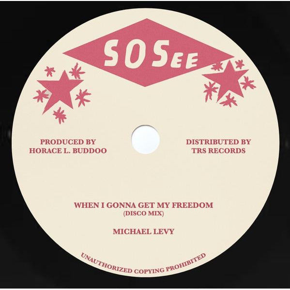 MICHAEL LEVY - When I Gonna Get My Freedom (12