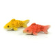 Miniature Koi Fish