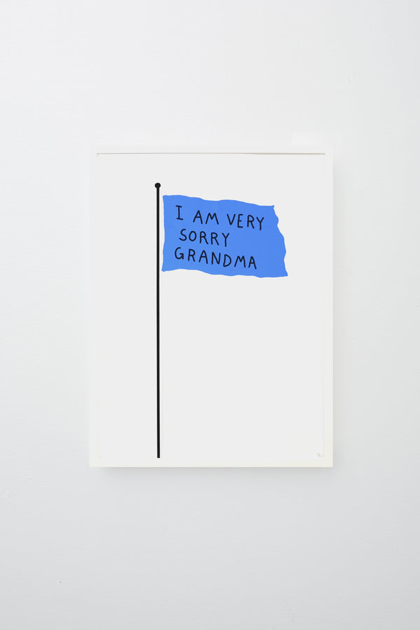 Blue flag on pole reads 'I AM VERY SORRY GRANDMA' in black text, framed.
