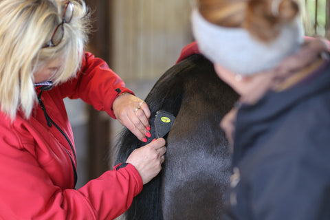 Smart Grooming Humane Tail Rakes 