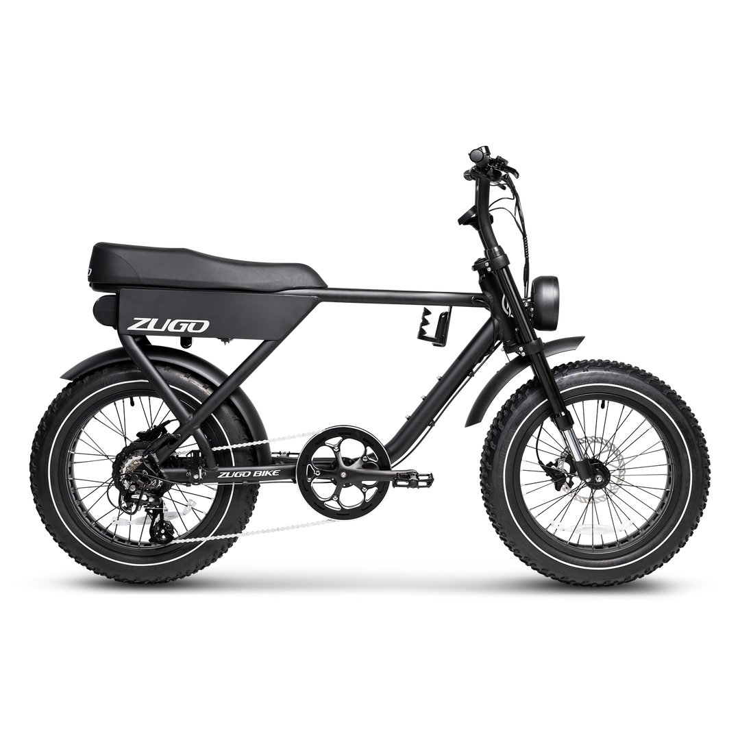 Popular Ebike Model