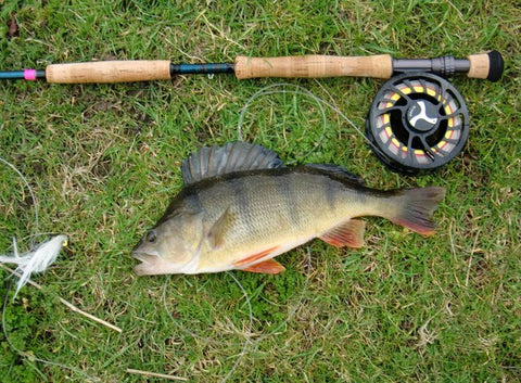 bass-fishing-reel