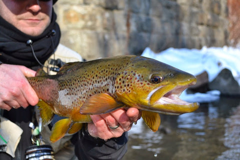 bass-fishing-tips-techniques