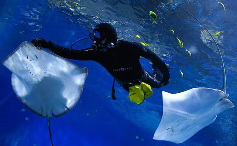 best-scuba-diving-equipment