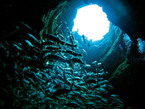 florida-cave-diving