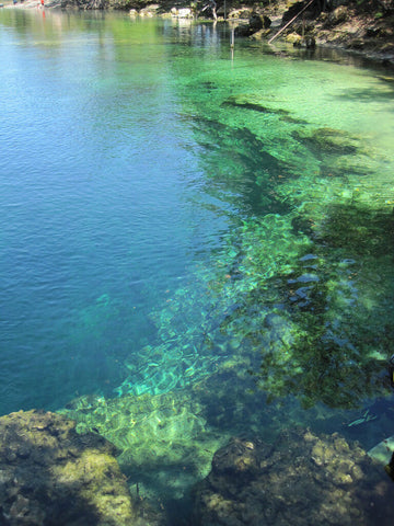 florida-caverns-state-park-pictures