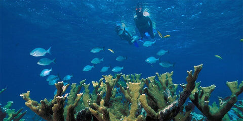 mexico-underwater-art-snorkel