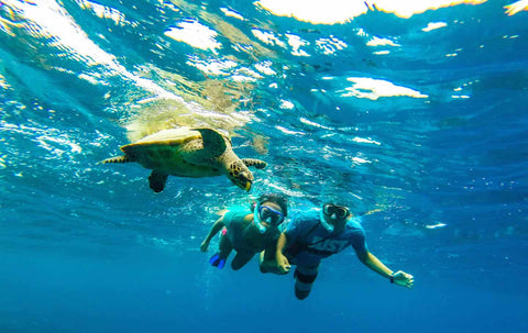 underwater-photographs