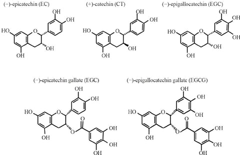 Chemical structures of the green tea polyphenols ( − )-epicatechin (EC), (+)catechin (CT), ( − )-epigallocatechin (EGC), ( − )-epicatechin gallate (ECG), and ( − )epigallocatechin gallate (EGCG).