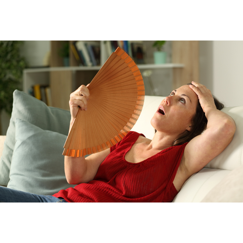 Hot flashes menopause