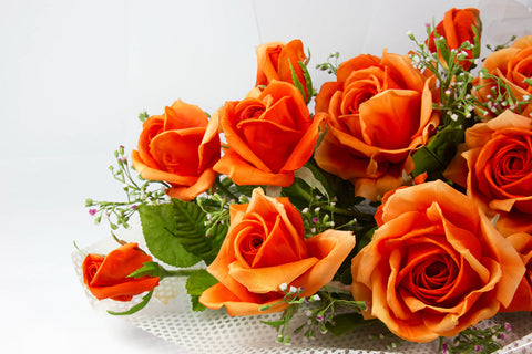 orange rose