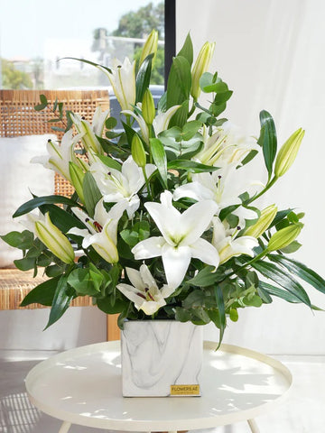 White Lily Scented 