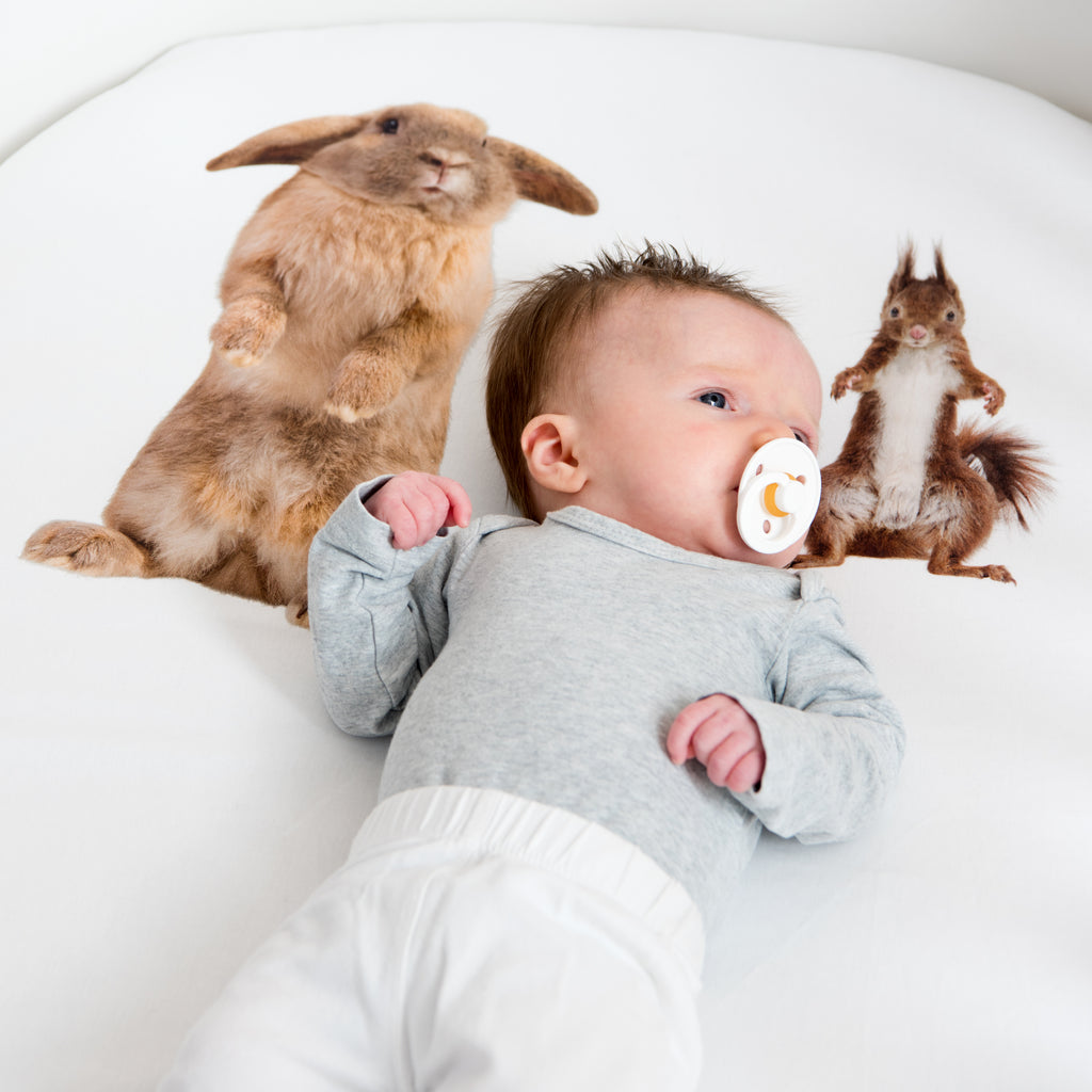 stoom Burgerschap Grootte Furry Friends baby ledikant hoeslaken – Paulien & Paulette