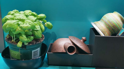 Basilikum, eine Teekanne und ein Matepott stehen neben der Spüle