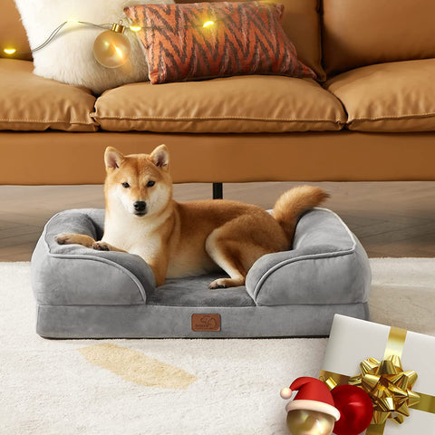 Medium-sized dog on Bedsure Dog Sofa looking up