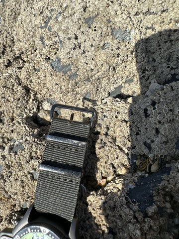 cheap NATO Strap- bent buckle pin