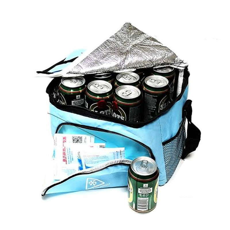 cooler bag and ice pack