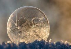 Frozen bubble, ice crystals, sunlight, snow, dr zigs