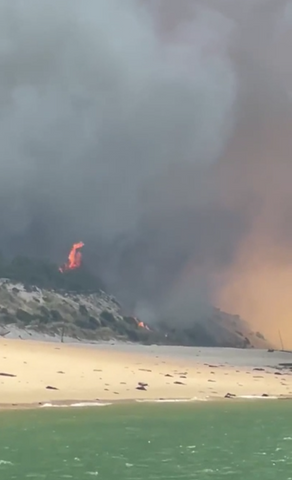 Fire burning at the Dune du Pilat July 19 2022