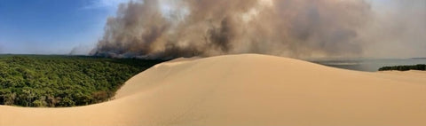 A wildfire burns in the Gironde in Western France across the Dune du Pilat and the Panorama du Pilat Campsite.  Photo credit Guillaume Bonnaud